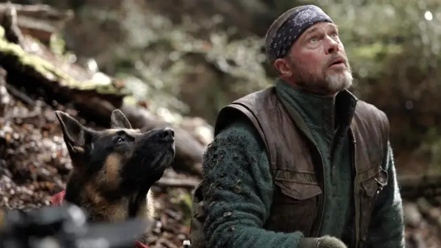 Coração Selvagem decepciona em sua estreia nos cinemas