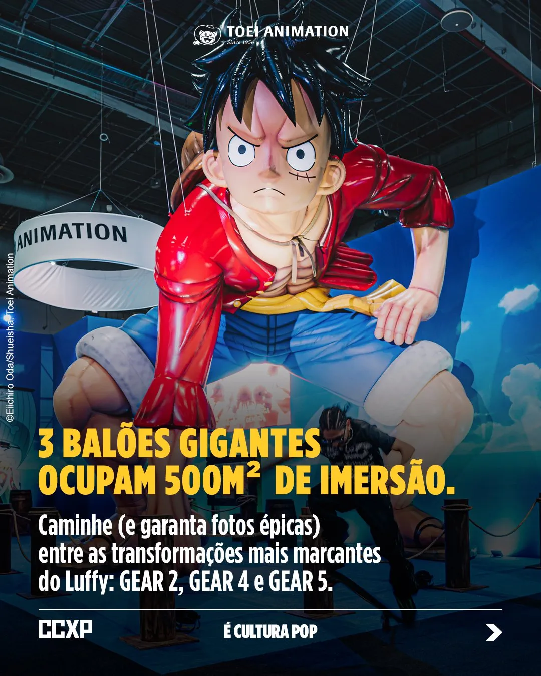 Visual promocional do remake de One Piece